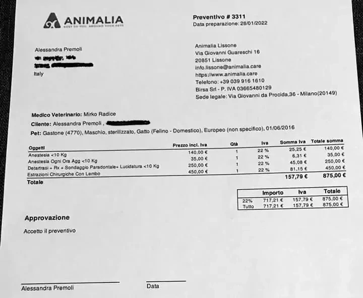 Fattura cure veterinarie